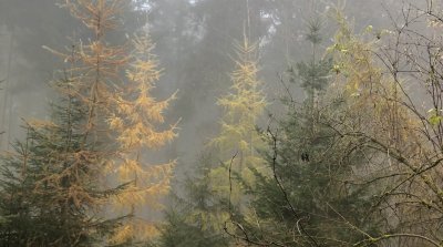 10.11.2024 Wanderung rund um Altlechtern