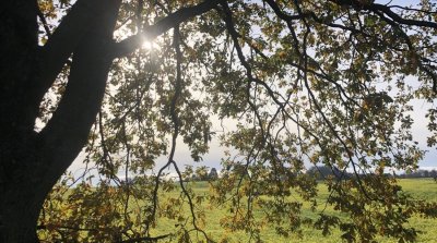 16.11.2025 Wanderung Neutsch