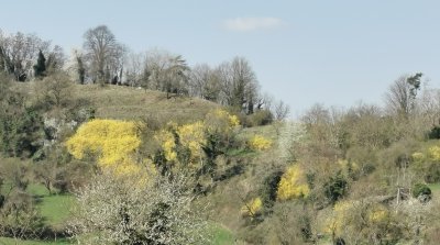 22.03.2026 Wanderung Kirschhausen Ober Hambach