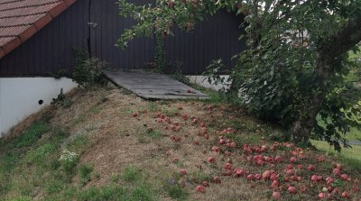 30.08.2026 Wanderung Reichelsheim Ostertal Weschnitz