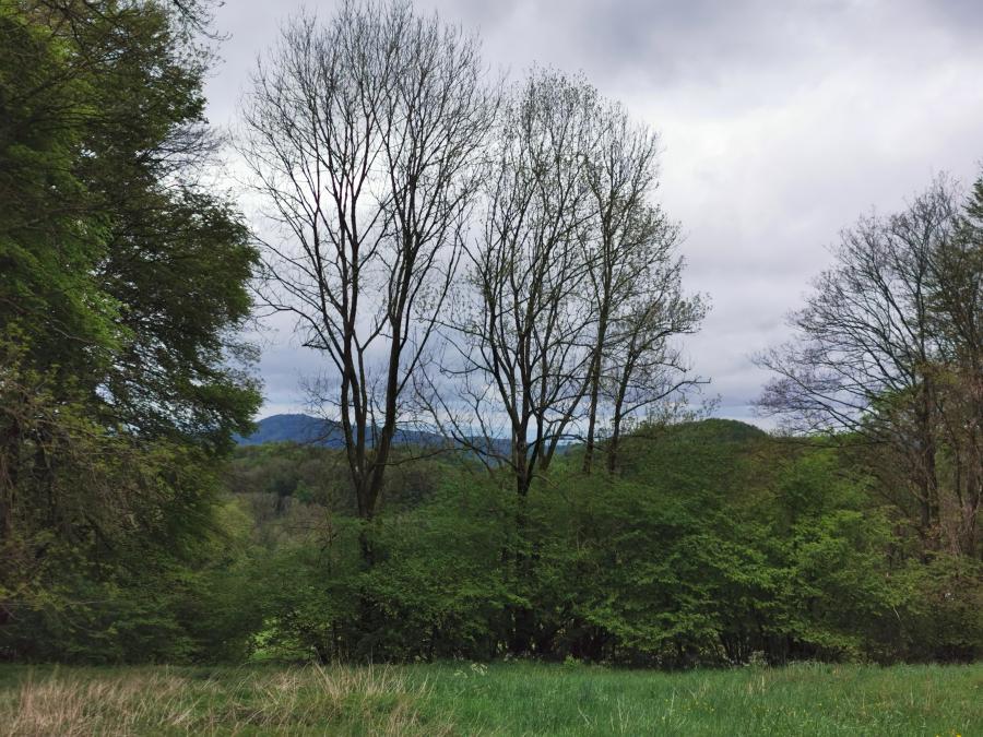 Spaziergang und Wanderung  im Juni 2024