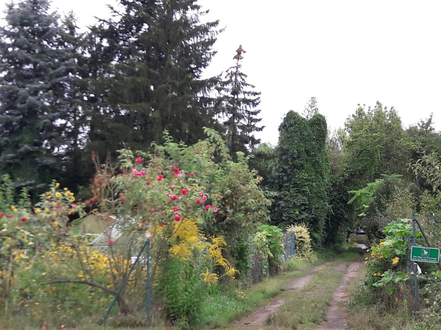 Seniorenprogramm - Spazierwanderung durch Lorscher Wiesen