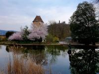 Wanderungen, Volkstanz und Stammtisch im April