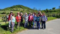 Maiwanderung über drei Bensheimer Berge