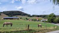 Wanderungen im August