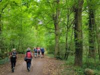 Wanderung mit dem Pfälzerwald-Verein Sondernheim in der Südpfalz und Spazierwanderung ab Heppenheim