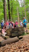 Sonntagswanderung im Überwald