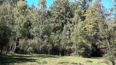 Wanderung Affolterbach