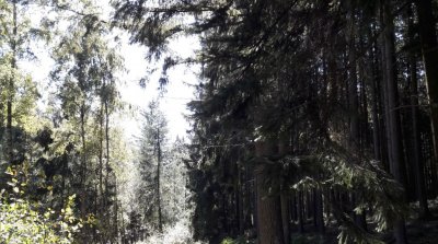 Wanderung Affolterbach