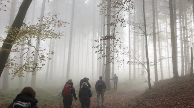 10.11.2024 Wanderung rund um  Altlechtern