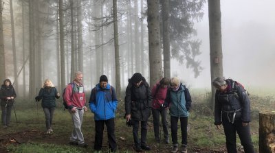 10.11.2024 Wanderung rund um  Altlechtern