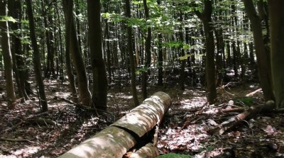 14.08.2024 Spazierwanderung Winterkasten