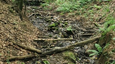 21.07.2024 Wanderung Not Gottes Kapelle