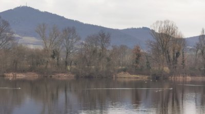 16.02.2025 Wanderung Niederwaldsee