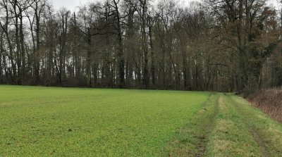 22.02.2026 Wanderung Auerbach Niederwaldsee
