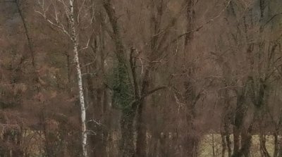 22.02.2026 Wanderung Auerbach Niederwaldsee