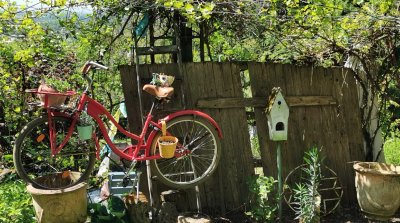 26.04.2026 Wanderung Hermannshof Weinheim